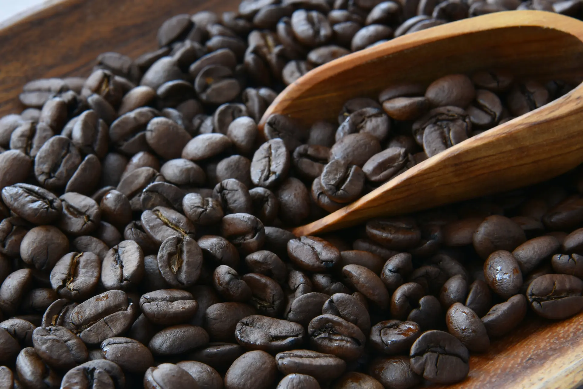 グァテマラ・アルト・トーマス　農園（２００ｇ）（シティロースト）