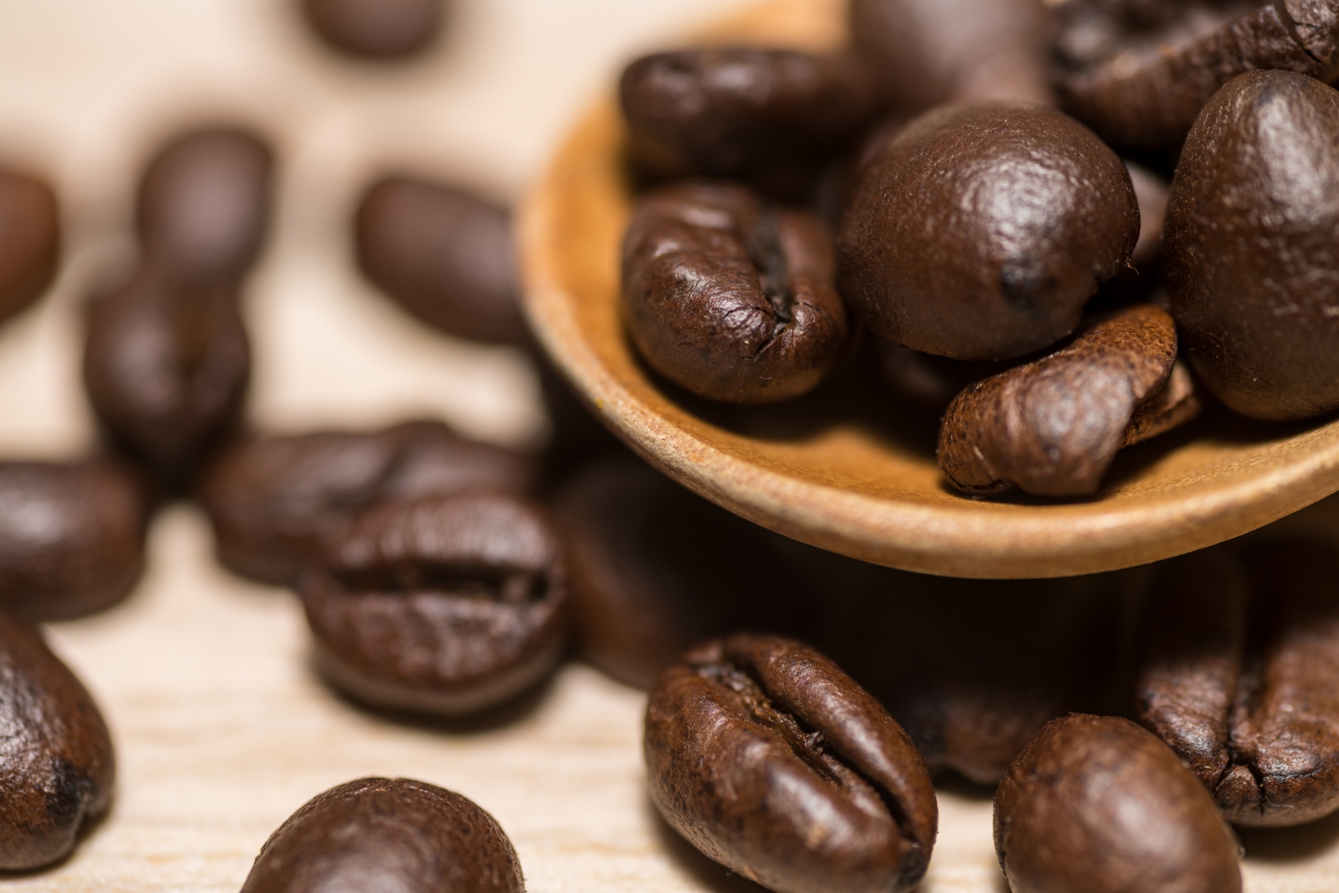 ブラジル　豆の樹スペシャル（２００ｇ）　アメリカンコーヒー